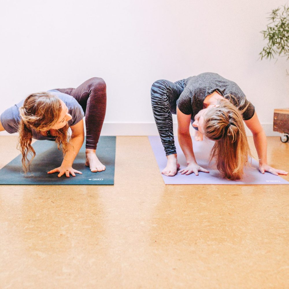 Introductiecursus Yoga Yoga voor Beginners